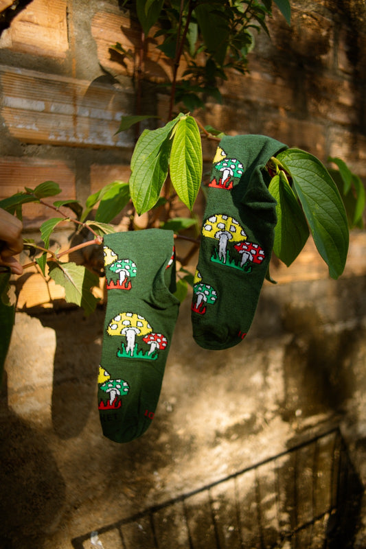 Calcetines "Bosque Mágico" Rocket - Honguitos de Ensueño